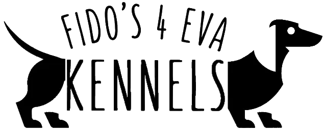 Fido's 4Eva